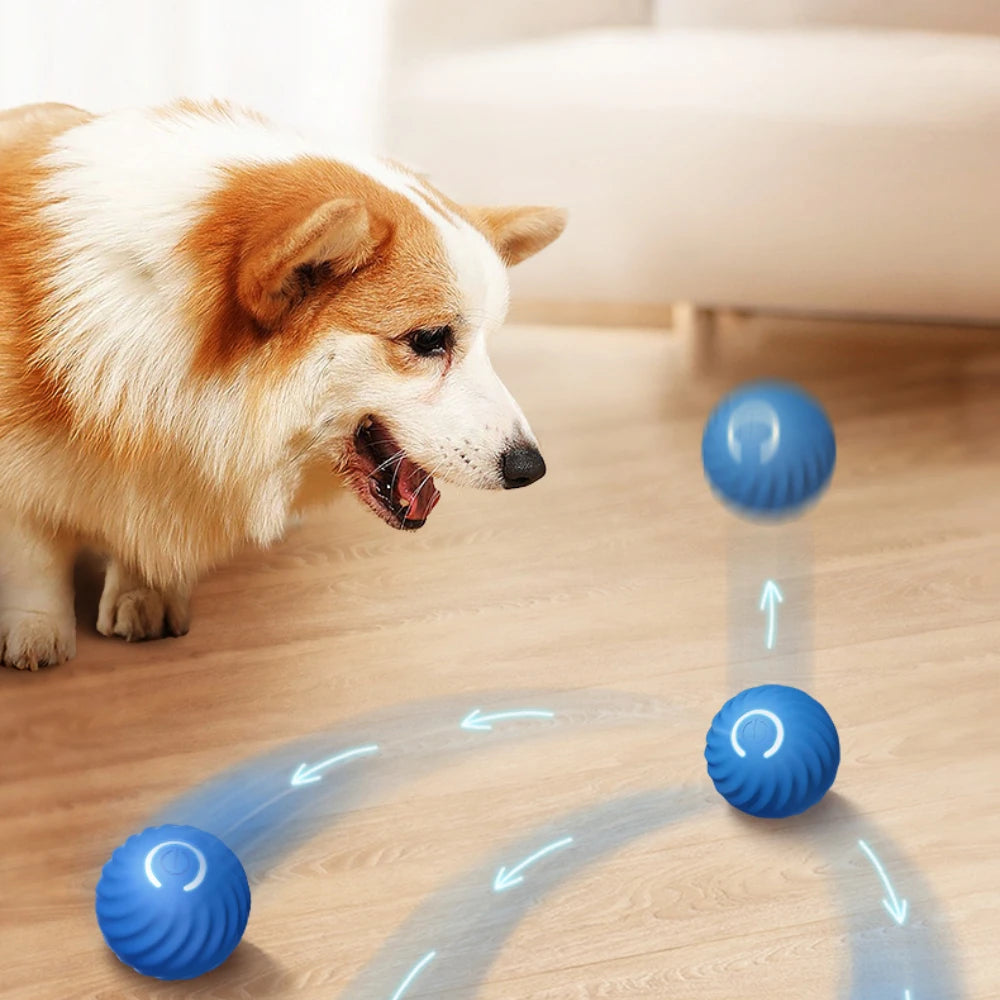 Smart Interactive Dog Toy - Rechargeable