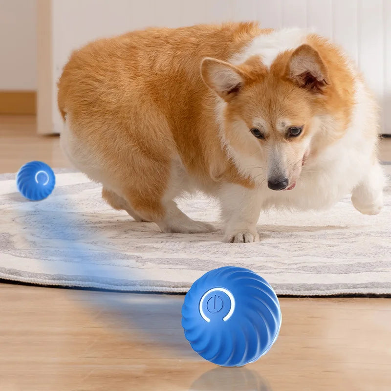 Smart Interactive Dog Toy - Rechargeable
